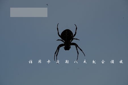 信用卡逾期八天就会催收吗 信用卡逾期八天就会催收吗
