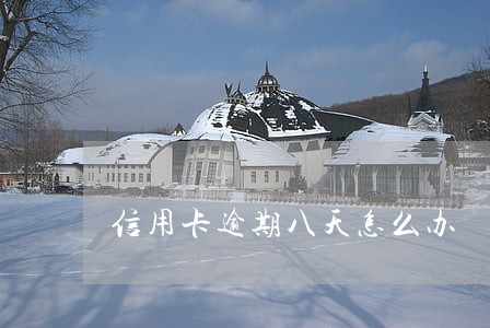信用卡逾期八天怎么办