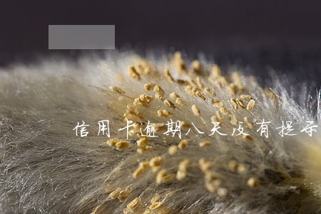信用卡逾期八天没有提示
