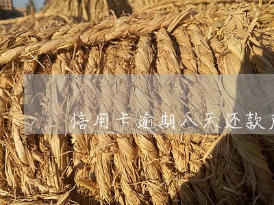 信用卡逾期八天还款后 信用卡逾期八天还款后