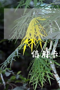 信用卡逾期八年后还款 信用卡逾期八年后还款