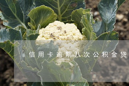 信用卡逾期八次公积金贷款 信用卡逾期八次公积金贷款