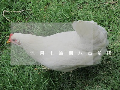 信用卡逾期八点前还 信用卡逾期八点前还
