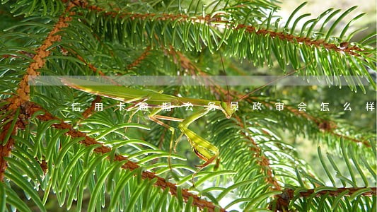 信用卡逾期公务员政审会怎么样 信用卡逾期公务员政审会怎么样