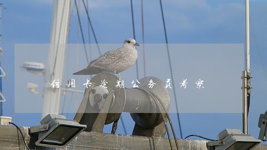 信用卡逾期公务员考察 信用卡逾期公务员考察