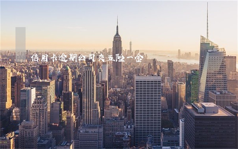 信用卡逾期公司交五险一金