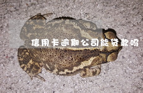 信用卡逾期公司能贷款吗