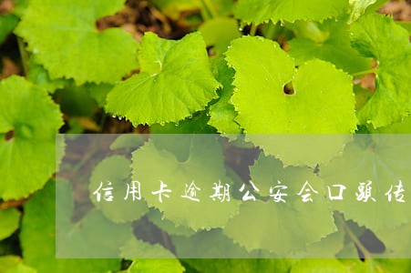 信用卡逾期公安会口头传唤吗 信用卡逾期公安会口头传唤吗
