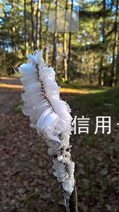 信用卡逾期公安会馆吗