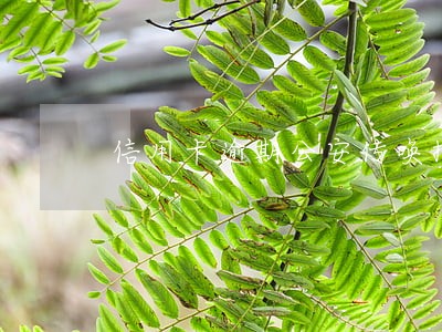 信用卡逾期公安传唤拘留3天 信用卡逾期公安传唤拘留3天