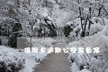 信用卡逾期公安发备案 信用卡逾期公安发备案