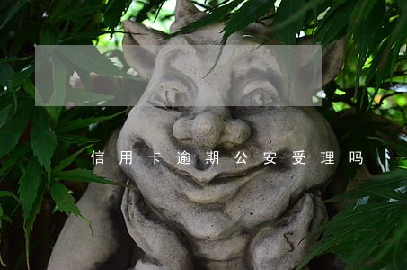 信用卡逾期公安受理吗 信用卡逾期公安受理吗
