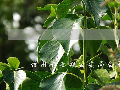 信用卡逾期公安局会不会介入 信用卡逾期公安局会不会介入
