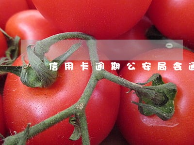 信用卡逾期公安局会通缉吗