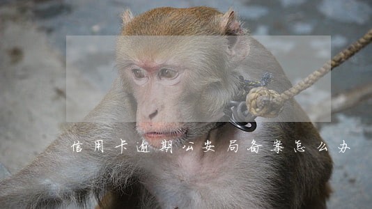 信用卡逾期公安局备案怎么办 信用卡逾期公安局备案怎么办