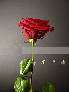 信用卡逾期公安局打电话去做笔录