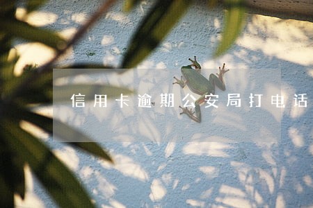 信用卡逾期公安局打电话给家人 信用卡逾期公安局打电话给家人
