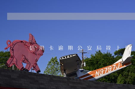 信用卡逾期公安局找上门了 信用卡逾期公安局找上门了