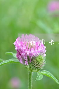 信用卡逾期公安局电话催款 信用卡逾期公安局电话催款