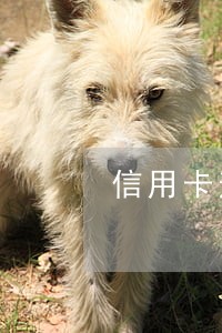信用卡逾期公安局短信