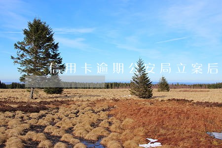 信用卡逾期公安局立案后
