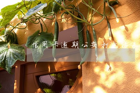 信用卡逾期公安打电话来真的吗 信用卡逾期公安打电话来真的吗