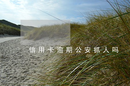 信用卡逾期公安抓人吗 信用卡逾期公安抓人吗