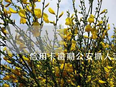 信用卡逾期公安抓人流程 信用卡逾期公安抓人流程