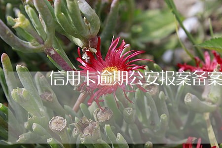 信用卡逾期公安报案备案 信用卡逾期公安报案备案