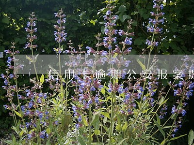 信用卡逾期公安报案提示函