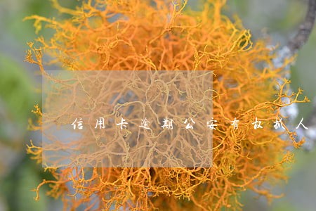 信用卡逾期公安有权抓人吗 信用卡逾期公安有权抓人吗