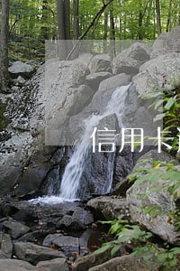 信用卡逾期公安机关怎么立案 信用卡逾期公安机关怎么立案