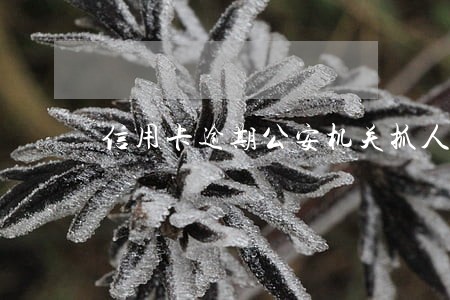 信用卡逾期公安机关抓人吗 信用卡逾期公安机关抓人吗