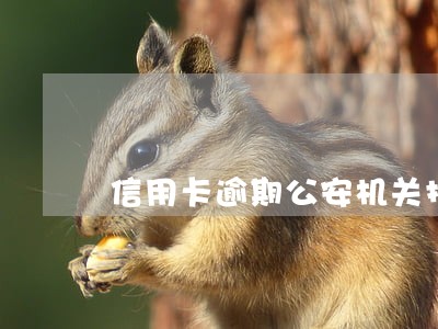 信用卡逾期公安机关报案 信用卡逾期公安机关报案
