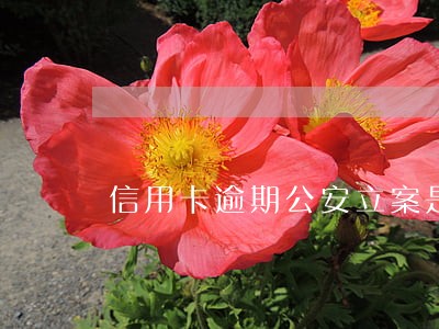 信用卡逾期公安立案是什么流程