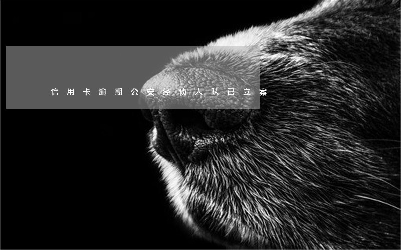 信用卡逾期公安经侦大队已立案 信用卡逾期公安经侦大队已立案