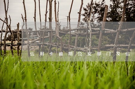 信用卡逾期公安部门发信息
