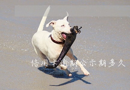 信用卡逾期公示期多久