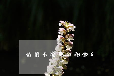 信用卡逾期公积金6 信用卡逾期公积金6