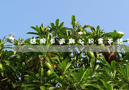 信用卡逾期公积金不给贷款 信用卡逾期公积金不给贷款
