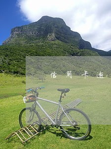 信用卡逾期公积金用不了