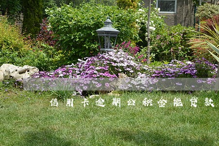 信用卡逾期公积金能贷款