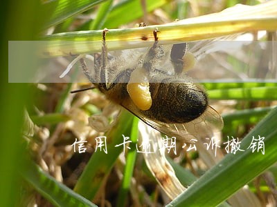 信用卡逾期公诉撤销