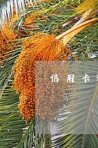 信用卡逾期公账能用吗 信用卡逾期公账能用吗