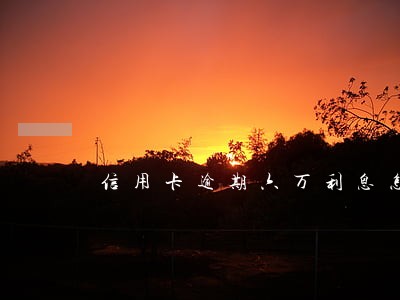 信用卡逾期六万利息怎么收 信用卡逾期六万利息怎么收