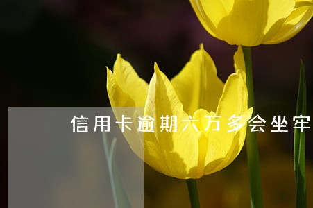 信用卡逾期六万多会坐牢吗 信用卡逾期六万多会坐牢吗