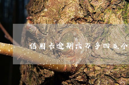 信用卡逾期六万多四五个月了