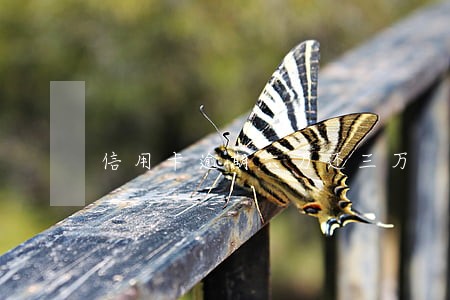 信用卡逾期六万还三万 信用卡逾期六万还三万