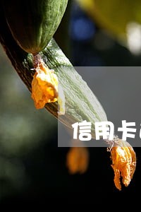 信用卡逾期六个月上征信吗