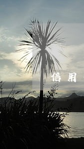 信用卡逾期六个月会黑户吗 信用卡逾期六个月会黑户吗